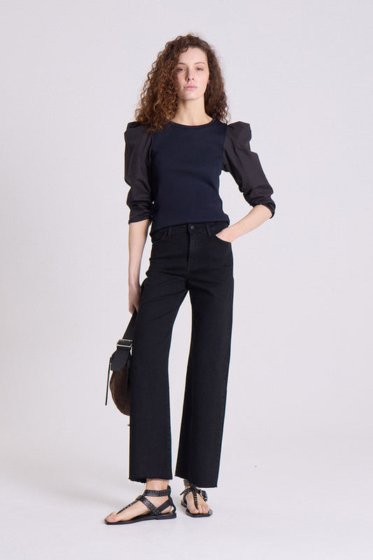 Top Pallida